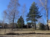 Parduodamas unikalus, taisyklingos formos, - nuotraukos Nr. 5