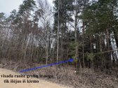 Jau galite rezervuoti statomus namus - nuotraukos Nr. 11