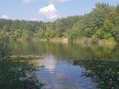 Parduodamas unikalus, taisyklingos formos, - nuotraukos Nr. 9