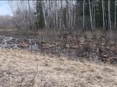 Parduodamas žemės sklypas, kurį sudaro žemės - nuotraukos Nr. 13