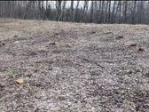Parduodamas žemės sklypas, kurį sudaro žemės - nuotraukos Nr. 6