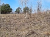 Parduodamas žemės sklypas, kurį sudaro žemės - nuotraukos Nr. 3