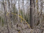 Parduodamas žemės sklypas, kurį sudaro žemės - nuotraukos Nr. 10