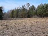 Parduodamas žemės sklypas, kurį sudaro žemės - nuotraukos Nr. 2
