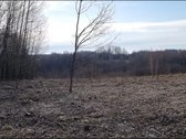 Parduodamas žemės sklypas, kurį sudaro žemės - nuotraukos Nr. 8