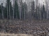 Parduodamas žemės sklypas, kurį sudaro žemės - nuotraukos Nr. 14