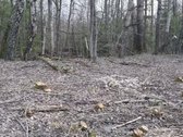 Parduodamas žemės sklypas, kurį sudaro žemės - nuotraukos Nr. 12