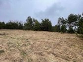 45 arų sklypas gamtoje Pamerkių kaime. Sklype