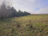 Parduodamas Vaizdingoje Vietoje Žemės Sklypas - nuotraukos Nr. 19