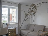 Šnipiškėse nuomojamas tvarkingas 1 kambario - nuotraukos Nr. 2