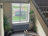 Šnipiškėse nuomojamas tvarkingas 1 kambario - nuotraukos Nr. 15