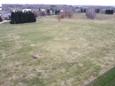 Parduodamas 3,82 ha Žemės Ūkio Paskirties - nuotraukos Nr. 3