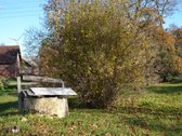 Parduodamas namų valdos sklypas Klaipėdos - nuotraukos Nr. 6