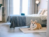 Kviečiame rezervuoti apartamentus nuomai - nuotraukos Nr. 6
