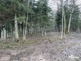 Parduodamas Unikalus Sklypas, Prie Šiaulių Miesto. - nuotraukos Nr. 9