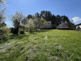 Parduodamas sodo namas šalia miško. Sklypo - nuotraukos Nr. 3