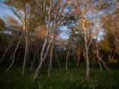 „strazdas“ - Keturių asmenų šeimos atostogų - nuotraukos Nr. 22