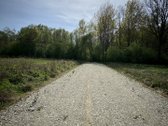 Parduodamas 56 Arų Sklypas Prie Miško – - nuotraukos Nr. 3