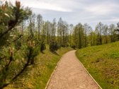 Ištrūkite iš miesto, atsipūskite ant - nuotraukos Nr. 15