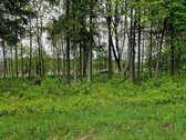 Parduodamas žemės sklypas labai vaizdingoje, - nuotraukos Nr. 4