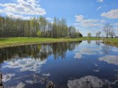 Nesnauskite! Sklypai tirpsta akyse!  - nuotraukos Nr. 16