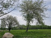 Nesnauskite! Sklypai tirpsta akyse!  - nuotraukos Nr. 25