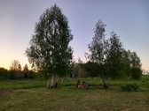 Graži gamta ir puiki vieta vilniečio sodybai, - nuotraukos Nr. 10