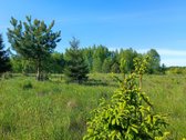 30 arų namų valdos sklypas, bendras 2,51 ha ploto - nuotraukos Nr. 28