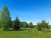 30 arų namų valdos sklypas, bendras 2,51 ha ploto - nuotraukos Nr. 6