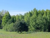 30 arų namų valdos sklypas, bendras 2,51 ha ploto - nuotraukos Nr. 3
