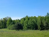 30 arų namų valdos sklypas, bendras 2,51 ha ploto - nuotraukos Nr. 24
