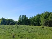 30 arų namų valdos sklypas, bendras 2,51 ha ploto - nuotraukos Nr. 29