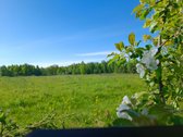 30 arų namų valdos sklypas, bendras 2,51 ha ploto - nuotraukos Nr. 2