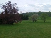 Parduodama sodybą vienkiemis netoli Luobos - nuotraukos Nr. 8
