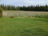 Parduodama sodybą vienkiemis netoli Luobos - nuotraukos Nr. 11