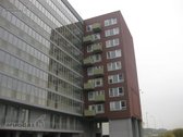 Patrauklioje Vilniaus miesto vietoje, - nuotraukos Nr. 24