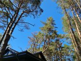 Įsikurkite dar šią vasarą! - nuotraukos Nr. 6