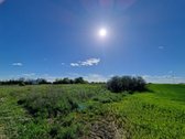 Parduodamas investicinis 548 arų sklypas - nuotraukos Nr. 6