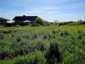 ? Namų vieta Šilutėje – 15 arų sklypas - nuotraukos Nr. 6