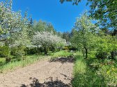 Parduodamas puikus sklypas su namu.puiki - nuotraukos Nr. 13