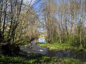 Parduodama sodyba Plungės rajone, Alsėdžių - nuotraukos Nr. 6