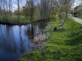 Parduodama sodyba Plungės rajone, Alsėdžių - nuotraukos Nr. 5