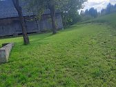 Parduodama sodyba su 2.933 ha žeme, namų - nuotraukos Nr. 8