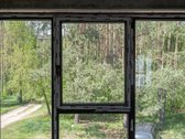 Pušyno Lajos, Puošiančios Jūsų Namų Kiemą 