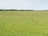 Parduodamas žemės sklypas - Širvintų k. prie - nuotraukos Nr. 3