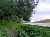 Parduodamas išskirtinis sklypas šalia Nemuno. - nuotraukos Nr. 4