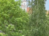 Parduodami Kurtuvėnų centre esantys sklypai. - nuotraukos Nr. 5