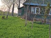 Nuomojamas vienkiemis su 1ha žemės su sodu, - nuotraukos Nr. 4
