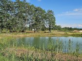 Parduodamas 16,32 arų namų valdos sklypas - nuotraukos Nr. 4