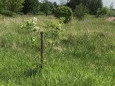 Išskirtinėje miesto vietoje parduodami trys - nuotraukos Nr. 9